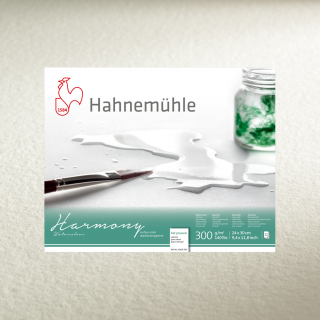 Hahnemuhle Papier Akwarelowy Harmony 300 g 50/65 cm
