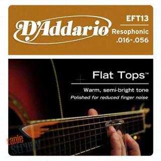 D'Addario EFT (16-56) Flat Tops