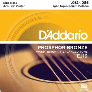 D'Addario EJ (12-56) Phosphor Bronze