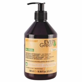 EVERY GREEN ANTIOXIDANT ODŻYWKA DO CODZIENNEGO UŻYTKU 500 ML