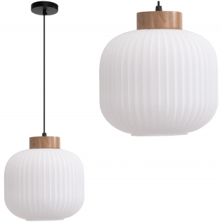 LAMPA WISZĄCA APP1068-CP