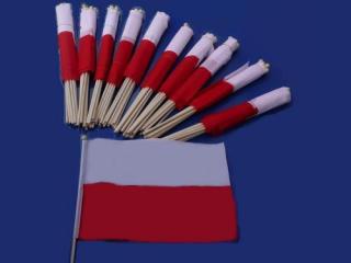 Flagi, choragiewki gładkie na patyku wymiary 14/10cm Polski oferta hurtowa