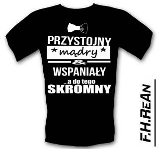 Śmieszne koszulki Przystojny, Wspaniały, Skromny