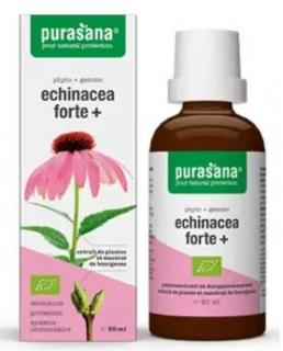 Echinacea Forte Krople BIO 50ml