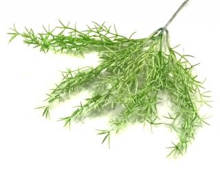 ASPARAGUS Gałązka trawa bukiet x 5 white sztuczna trawa