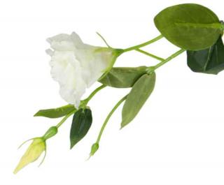 Eustoma gałązka Cream Sztuczne kwiaty