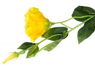 Eustoma gałązka Yellow Sztuczne kwiaty