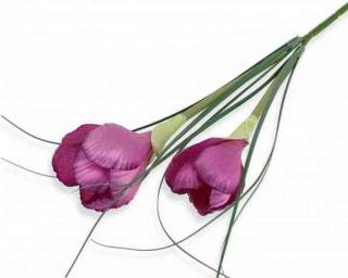 Krokus gałązka podwójna Amarant sztuczne kwiaty jak żywe