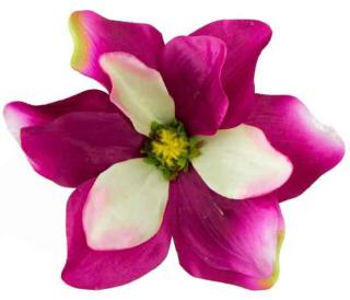 Magnolia DUŻA główka kwiat Fuchsia/Cream sztuczne kwiaty