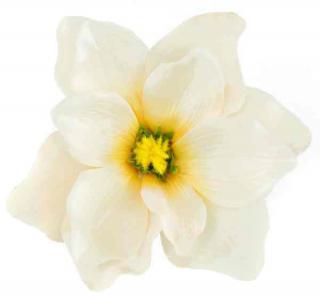 Magnolia DUŻA główka kwiat Lt.Peach sztuczne kwiaty