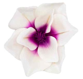 Magnolia główka satyna Cream/Purple sztuczne kwiaty