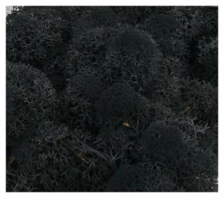 MECH Chrobotek Reniferowy (12.Black) 2,5 kg mech na ścianę, mech norweski, czarny