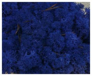 MECH Chrobotek Reniferowy (26.Azur Blue) 2,5 kg mech na ścianę, mech norweski, niebieski