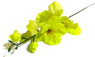 MIECZYK gałązka wys.48 cm Green sztuczne kwiaty jak żywe