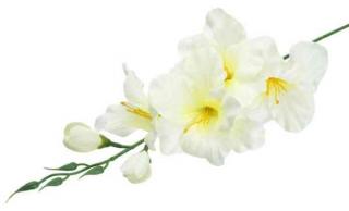 MIECZYK gałązka wys.53 cm Cream/Yellow sztuczne kwiaty jak żywe