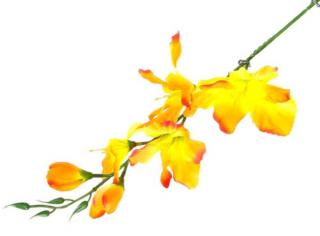 MIECZYK gałązka wys.53 cm Orange/Green/Flame sztuczne kwiaty jak żywe