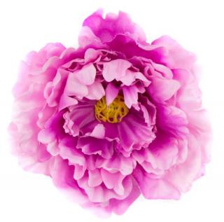 Peonia główka DUŻA Pink  17,50 cm