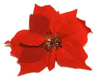 Poinsecja VELVET red GWIAZDA BETLEJEMSKA 22cm sztuczne kwiaty jak żywe