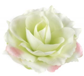 Róża satynowa główka Lt.Green/ Pink edge