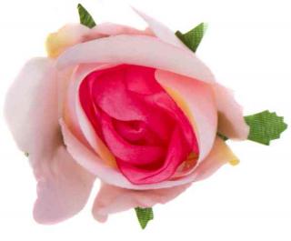Róża w pąku - główka kwiat Coral Pink