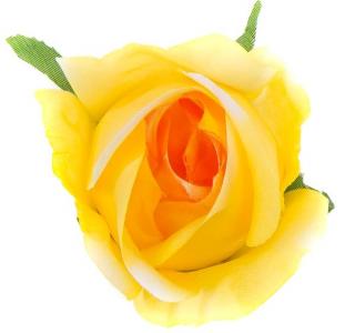 Róża w pąku - główka kwiat Yellow/coral