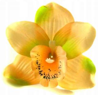 Storczyk Cymbidium - główka Coral/Green sztuczne kwiaty - główka w pąku