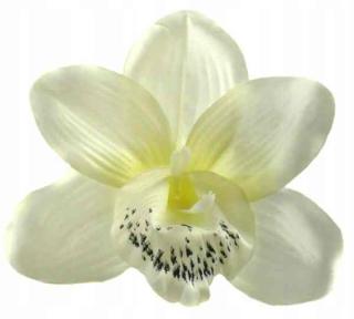 Storczyk Cymbidium - główka Cream sztuczne kwiaty - główka w pąku