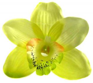 Storczyk Cymbidium - główka Lt.Green sztuczne kwiaty - główka w pąku