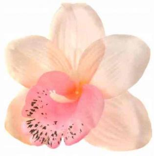 Storczyk Cymbidium - główka Lt.Pink sztuczne kwiaty - główka w pąku