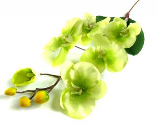 STORCZYK gałązka Cream/Green sztuczne kwiaty