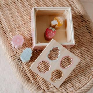 Sorter Fairy Garden FSC