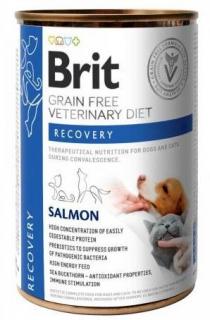 Brit Veterinary Diet Recovery Salmon Mokra Karma dla psa i kota op. 400g