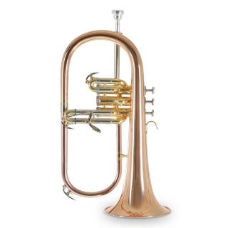 Flugelhorn Roy Benson FH-302G Bb