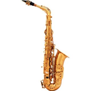 Saksofon altowy ArnoldsSons AAS-110 YG