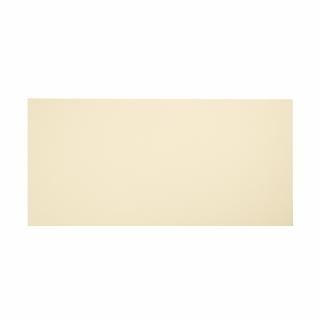 Tenryo Manaita Anti-Bacterial Deska do krojenia 500x250x10 mm