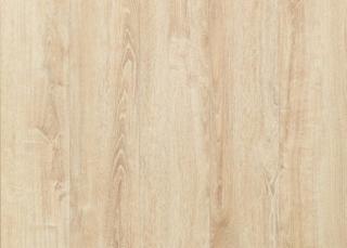 Panele podłogowe Wild Wood GOLD PLUS - Dąb Cynamonowy -  AC6 12mm