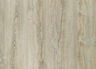 Panele podłogowe Wild Wood GOLD PLUS - Dąb Europejski -  AC6 12mm