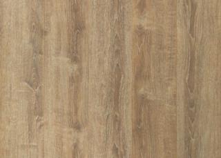 Panele podłogowe Wild Wood GOLD PLUS - Dąb Miodowy -  AC6 12mm