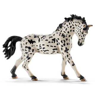 SCHLEICH 13769 - KLACZ RASY KNABSTRUPPER