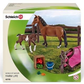 ZESTAW PADOK SCHLEICH 42192