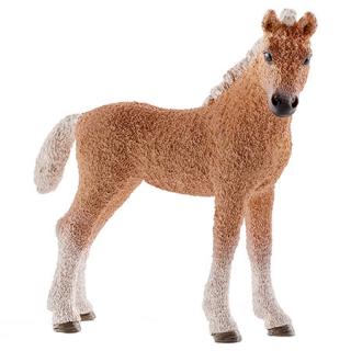 ŹREBIĘ BASHKIR CURLY SCHLEICH 13781