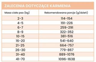 Dzik z pasternakiem psy dorosłe 800g Perro Gourmet