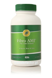 4  life Fibro AMJ Day-Time Formula 90 tabl