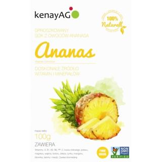 Ananas - sproszkowany sok - 100 - 200g