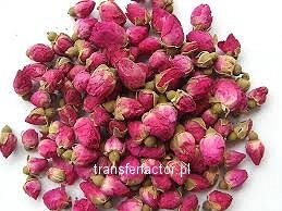 MEI GUI HUA - Flos Rosae Rugosae - Kwiat róży pomarszczonej 50g