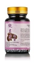 Sproszkowany grzyb Ganoderma lucidum (Reishi) 60kapsułek/250mg