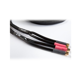 TARA Labs RSC Prime M2 kabel głośnikowy 2x2,4m