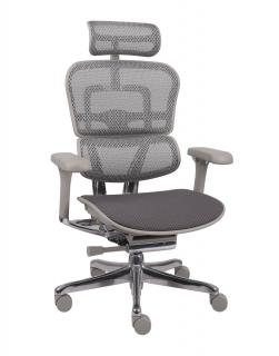 Ergonomiczny fotel biurowy Ergohuman 2 Elite Pro GT Grey