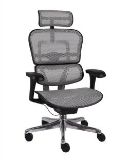 Fotel biurowy Ergohuman 2 Basic BS Grey
