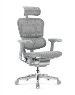 Fotel biurowy Ergohuman 2 Elite GS Grey - szary ergonomiczny fotel siatkowy